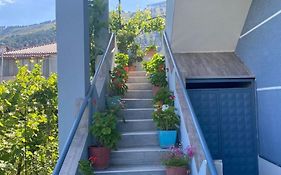 Guest House Zotkaj